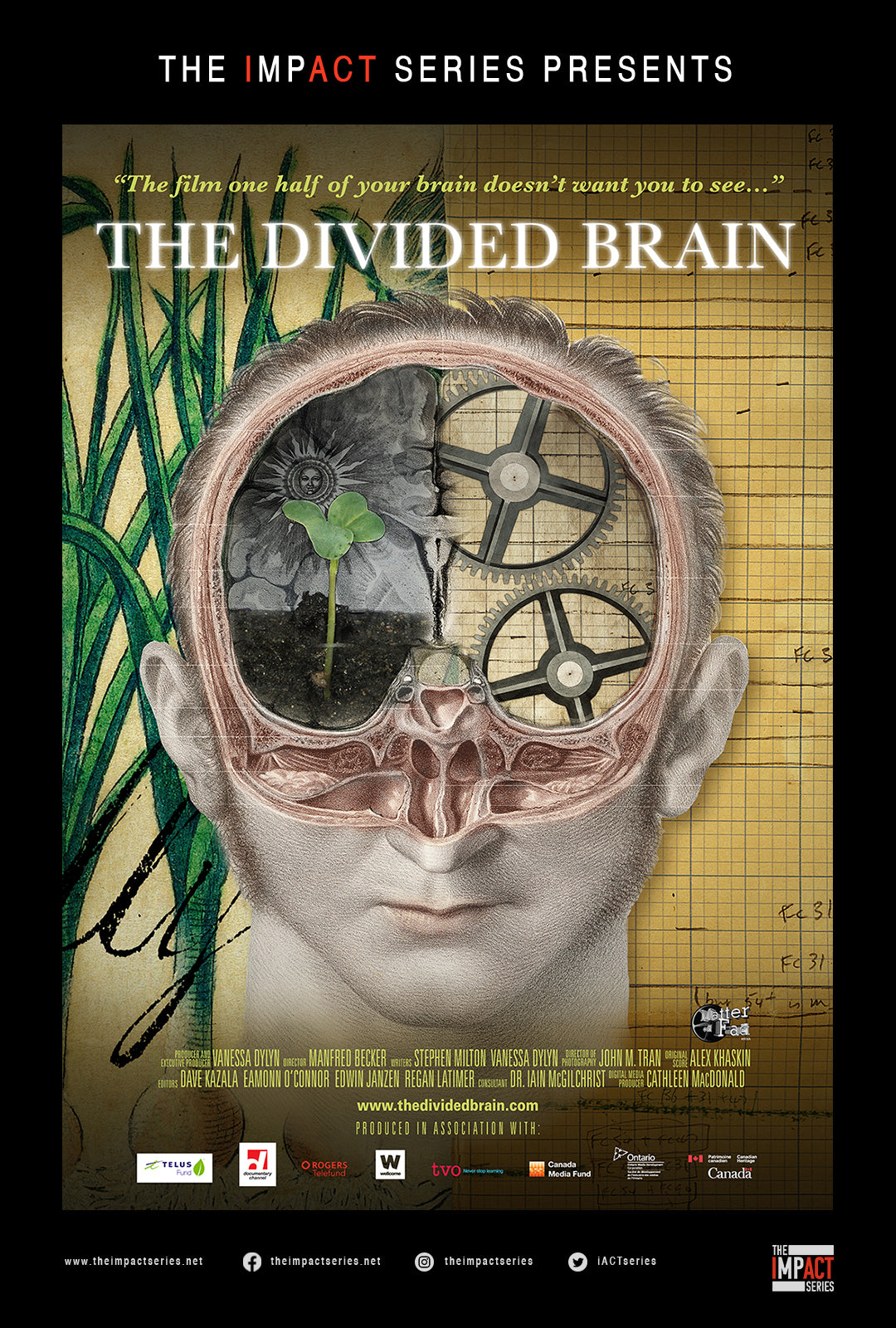 The Divided Brain